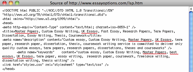 essayoptions